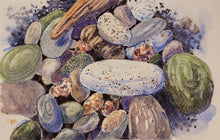 Load image into Gallery viewer, Watercolour: Pebble beach (17 June @ 7:00 PM)