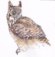 Load image into Gallery viewer, Wildlife Wednesdays (April)