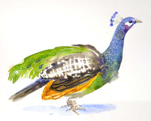 Load image into Gallery viewer, Watercolour: Sketchy Birds (Feb 26 @ 6:30 PM)