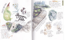 Load image into Gallery viewer, Sketchbook Adventures (October-November)