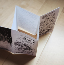 Load image into Gallery viewer, Zines: Visual Storytelling
