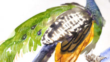Load image into Gallery viewer, Watercolour: Sketchy Birds (Feb 26 @ 6:30 PM)

