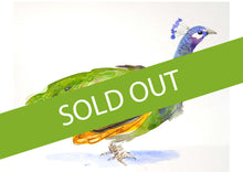 Load image into Gallery viewer, Watercolour: Sketchy Birds (Feb 26 @ 6:30 PM)
