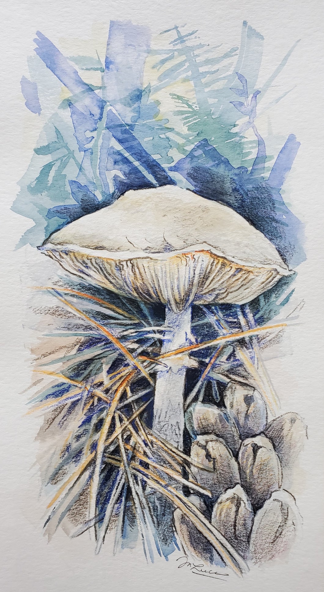 Mushroom at Bonnechere