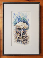 Load image into Gallery viewer, Mushroom at Bonnechere
